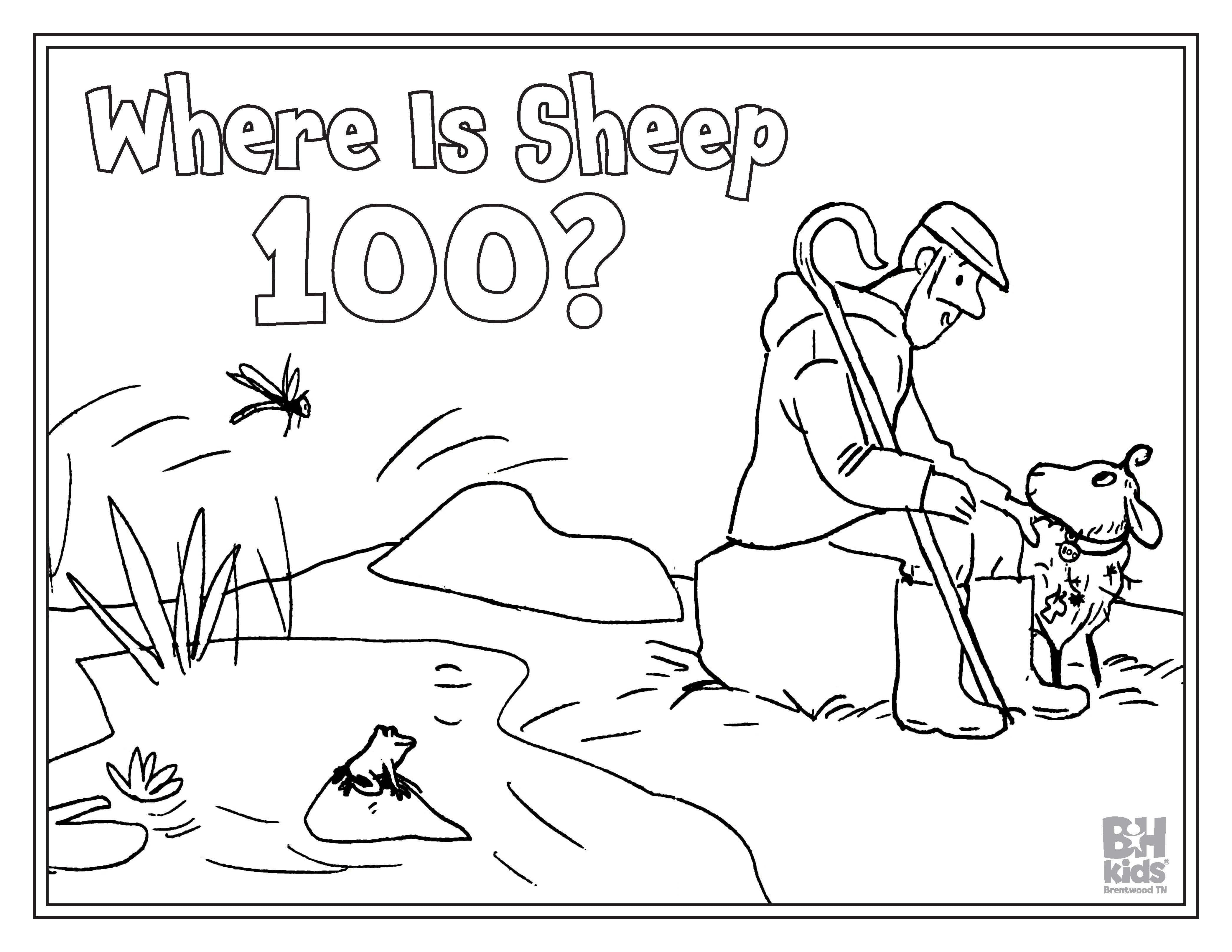 Where Is Sheep 100?: A Skip-Counting Story About the Good Shepherd's Love by Susie Crosby