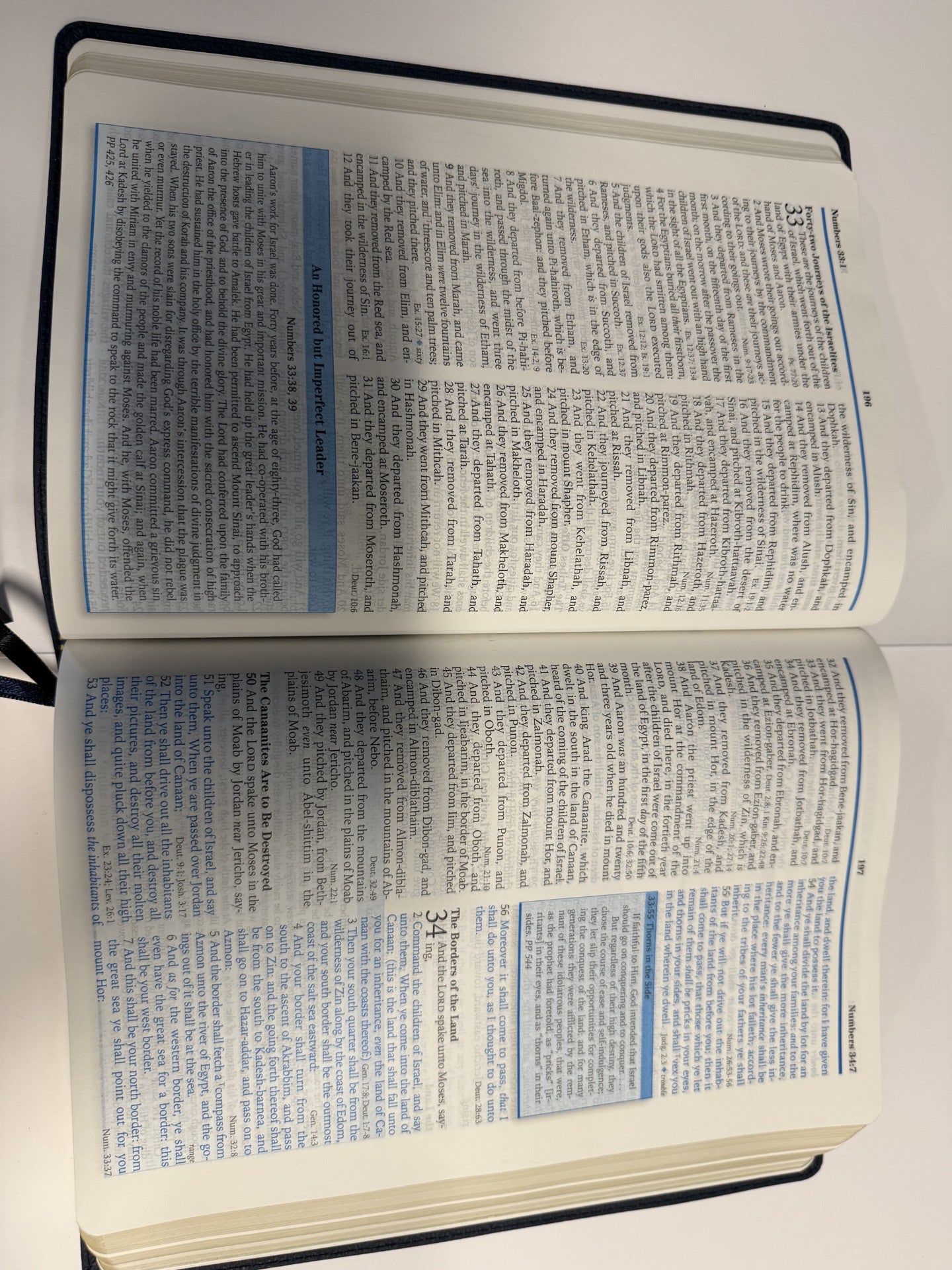 ONE-OF-A-KIND Large Print KJV Platinum Remnant Study Bible (Blue Leather)