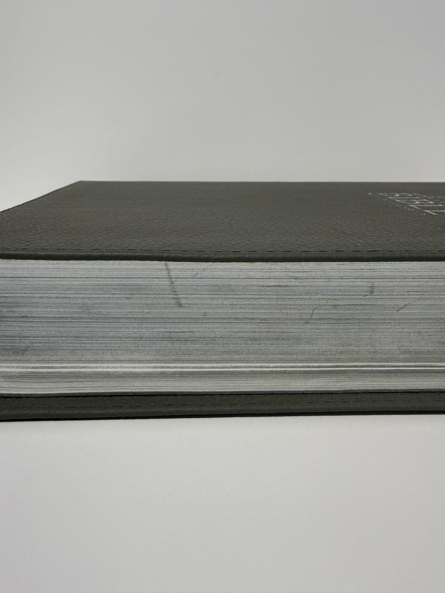 ONE-OF-A-KIND KJV Platinum Remnant Study Bible (Gray Leather)