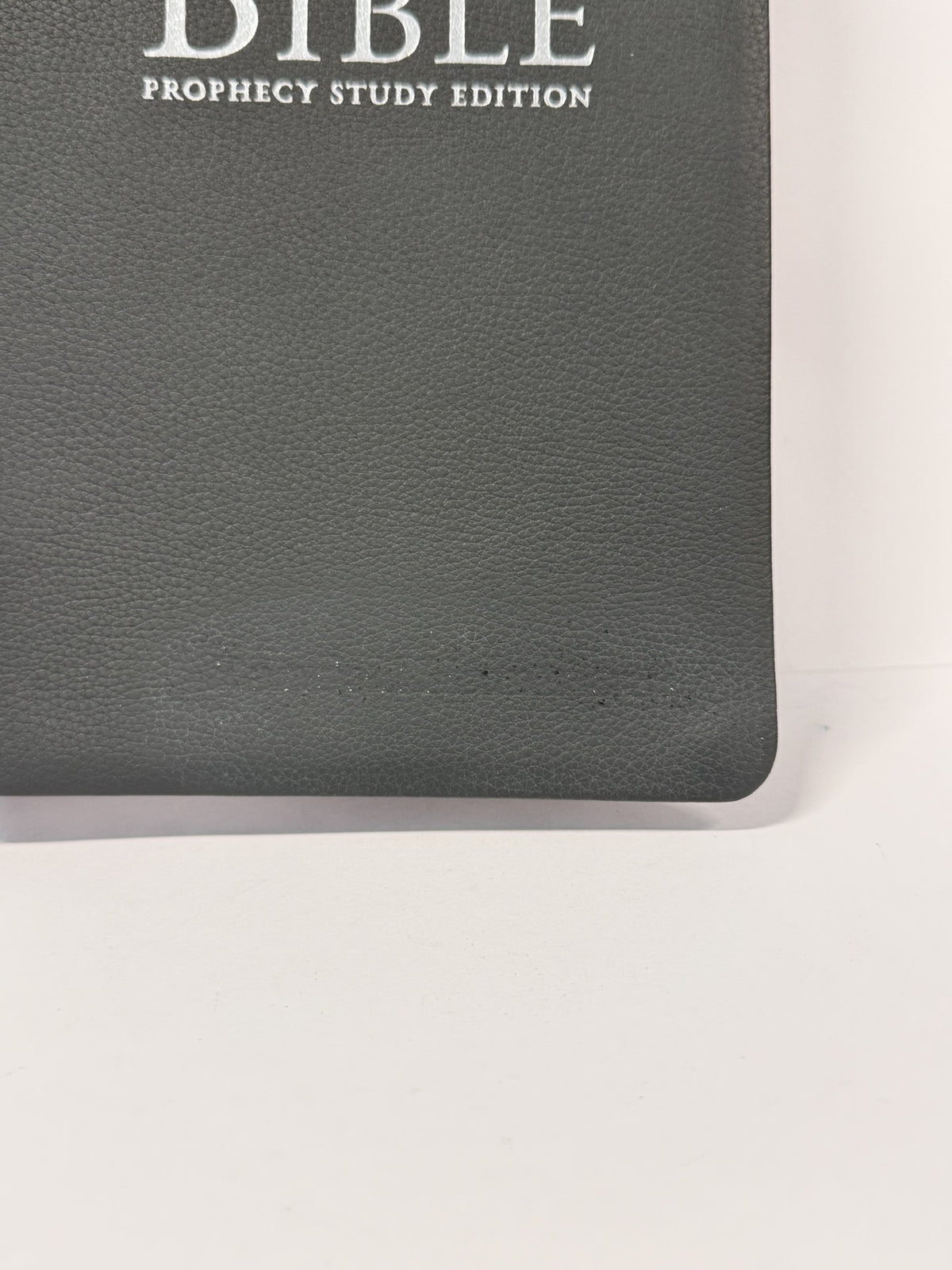 ONE-OF-A-KIND Gray Genuine Leather | NKJV Prophecy Study Bible