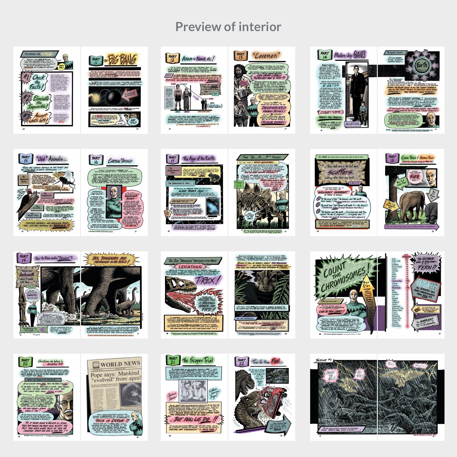 A Creationist's View of Dinosaurs | Full-Color Edition! by Jim Pinkoski