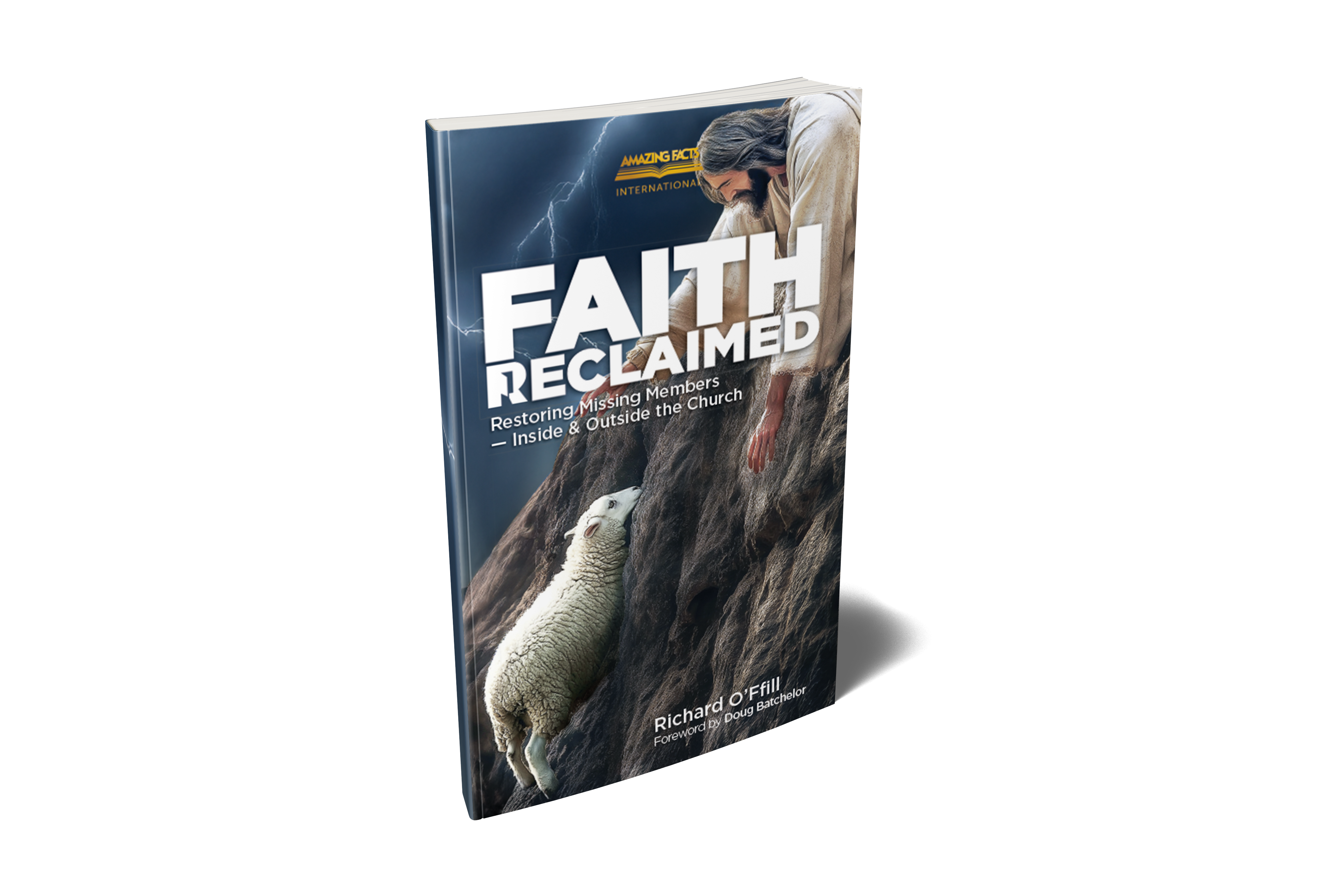 Faith Reclaimed: Restoring Missing Members - Inside & Outside the Church by Richard O'Ffill