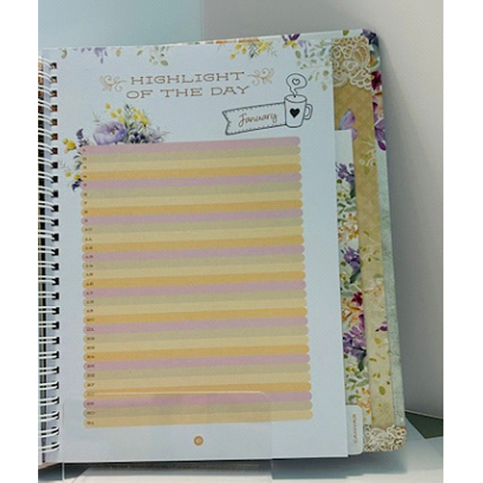 Daily Victories: Journaling for Overcomers by Safeliz