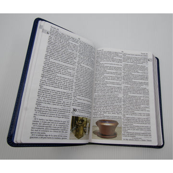 Santa Biblia Comentario Biblico de Elena G. de White (BLUE) by Oklahoma Academy Publications