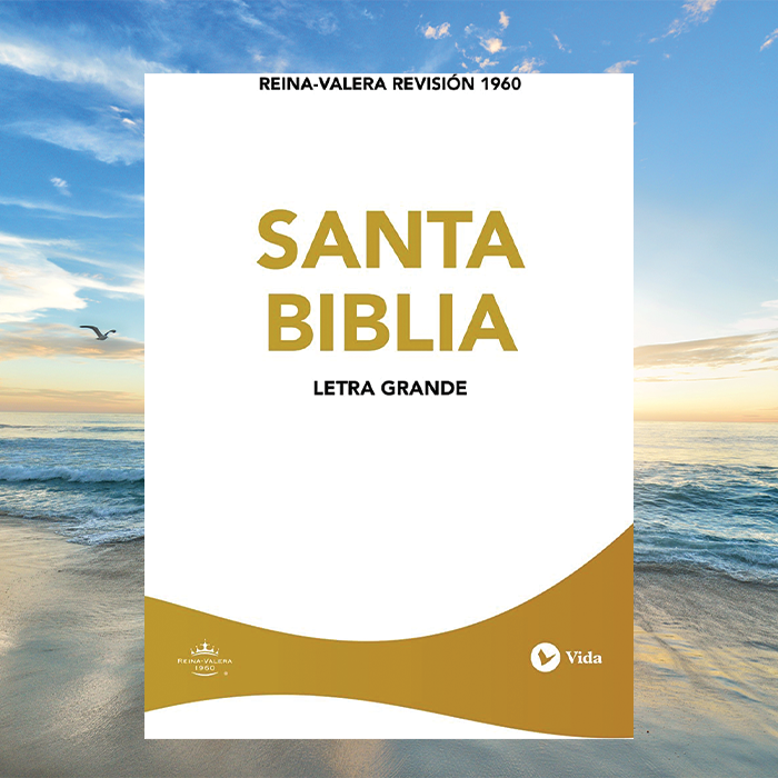 Biblia Letra Grande RVR 1960 ( Large Print Bible Softcover)