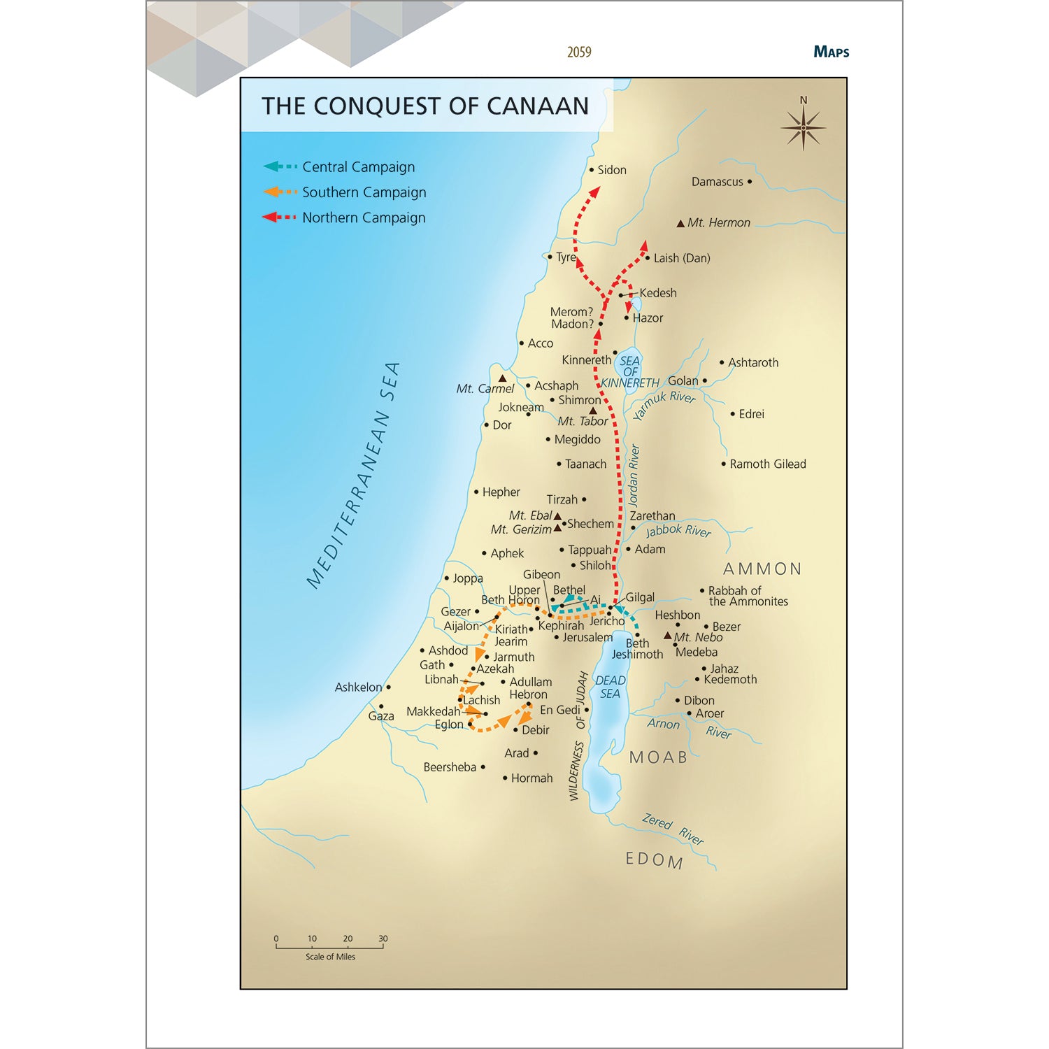 ONE-OF-A-KIND The Ultimate Prophecy Study Bible - Maroon Leathersoft by Amazing Facts