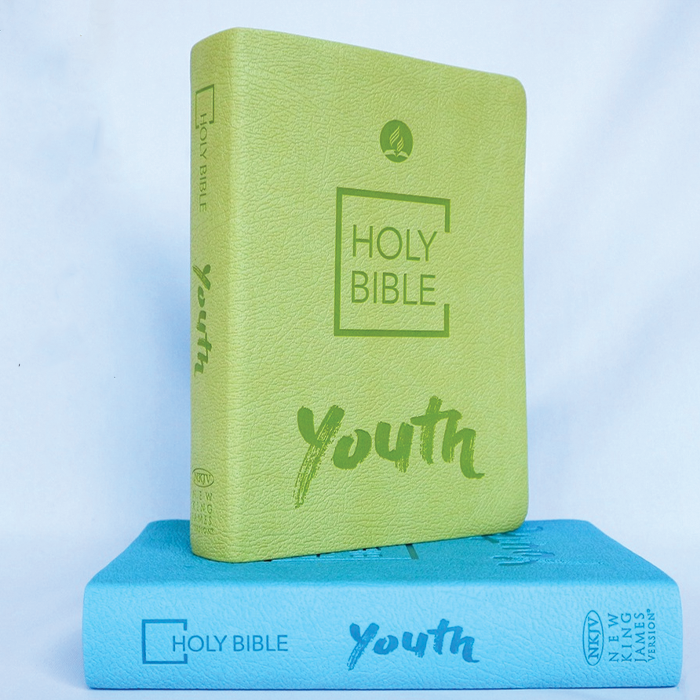 NKJV Youth Bible - Blue by Safeliz