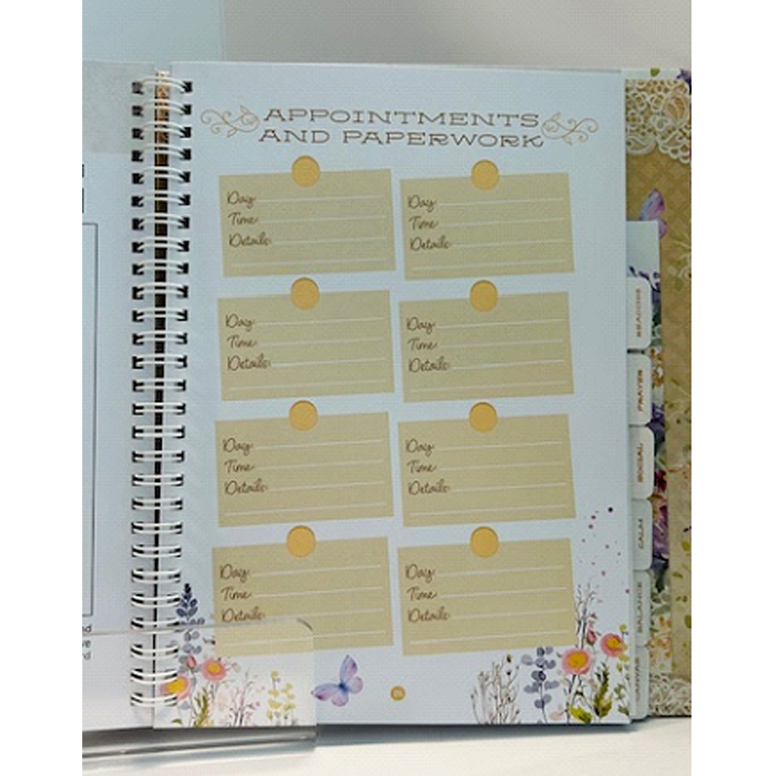 Daily Victories: Journaling for Overcomers by Safeliz
