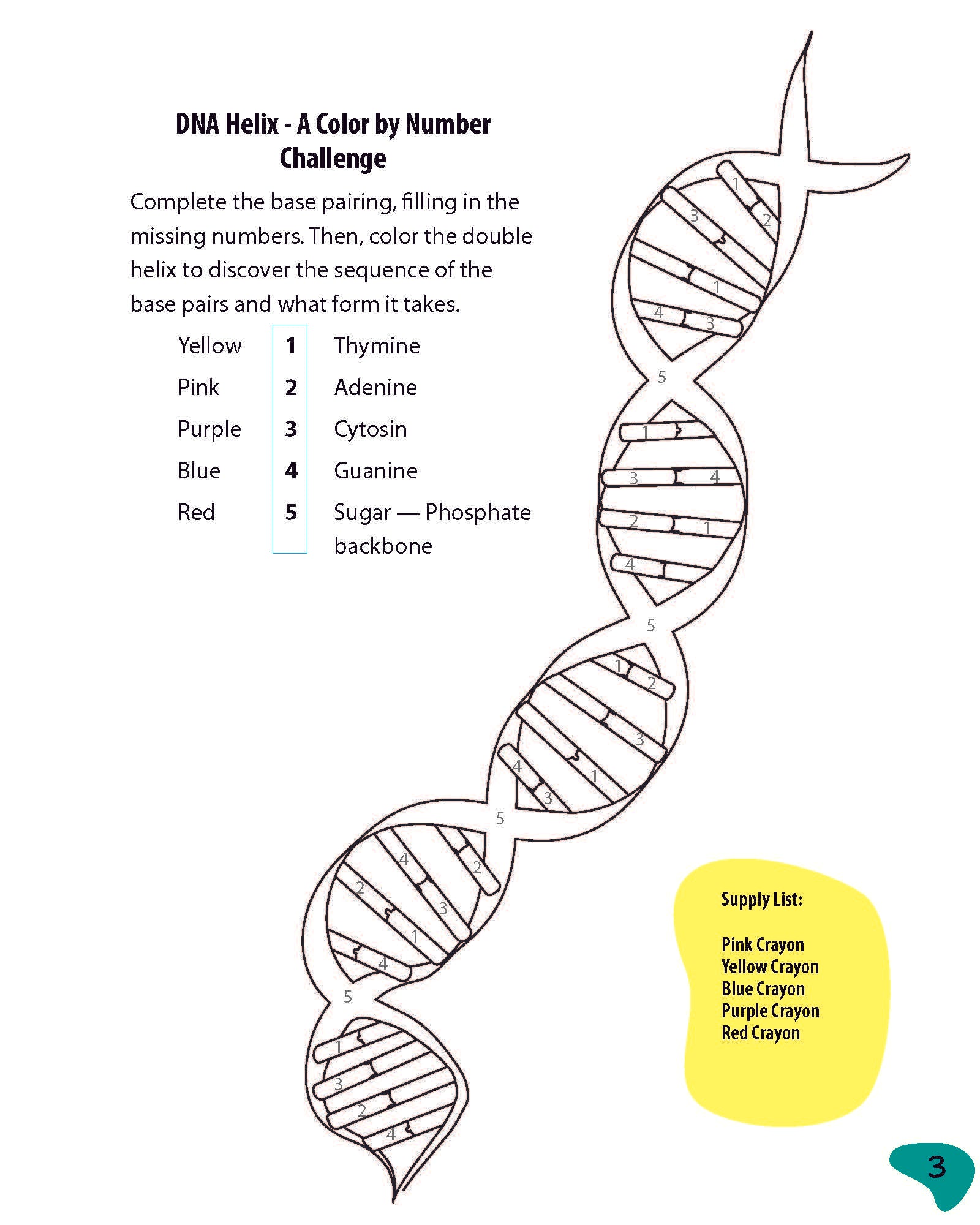 DNA, God & You! with Dr. Jennifer Rivera