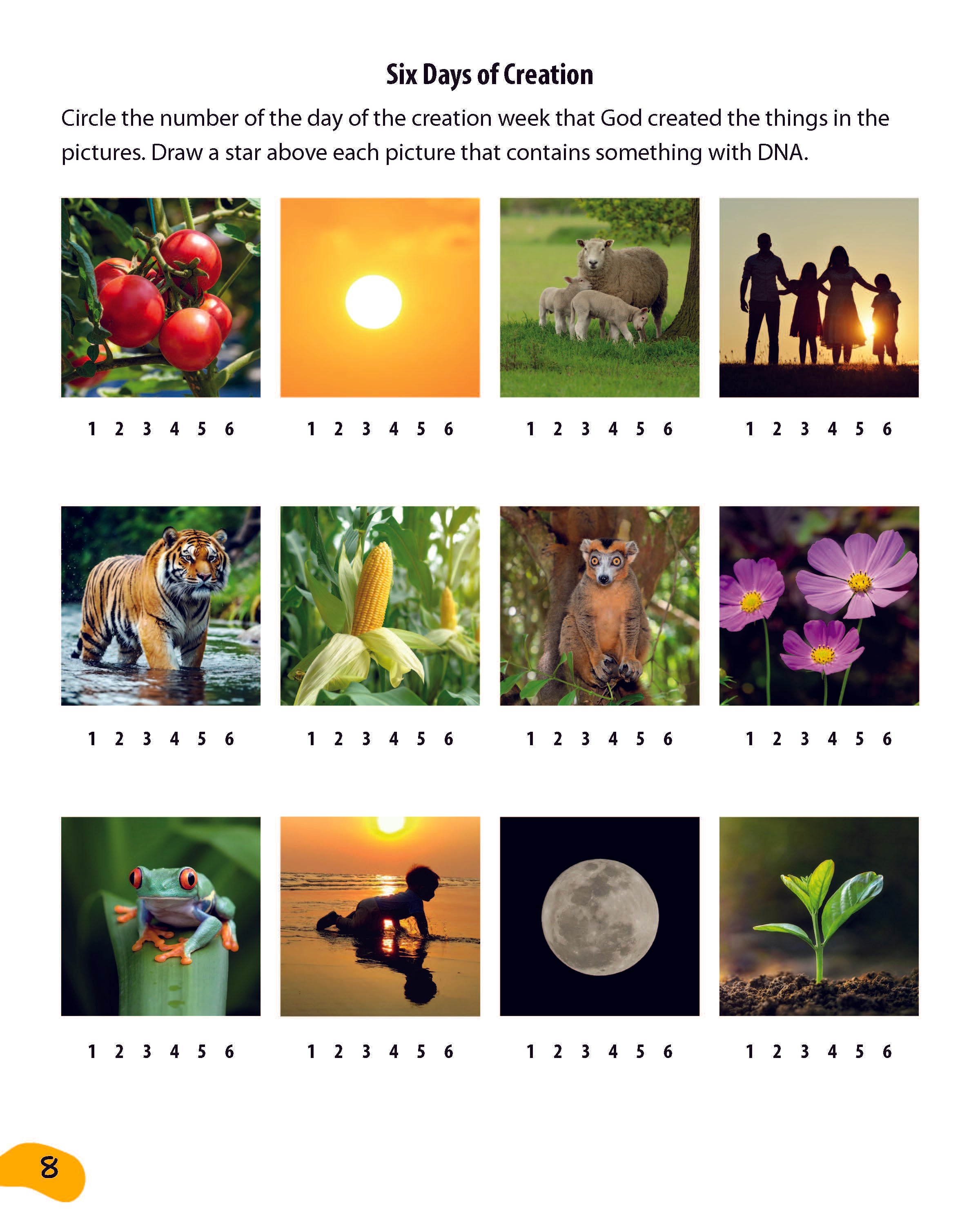 DNA, God & You! with Dr. Jennifer Rivera