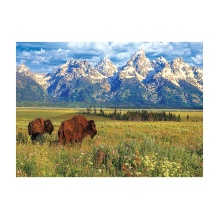 Grand Teton National Park Puzzle - 1000 pieces