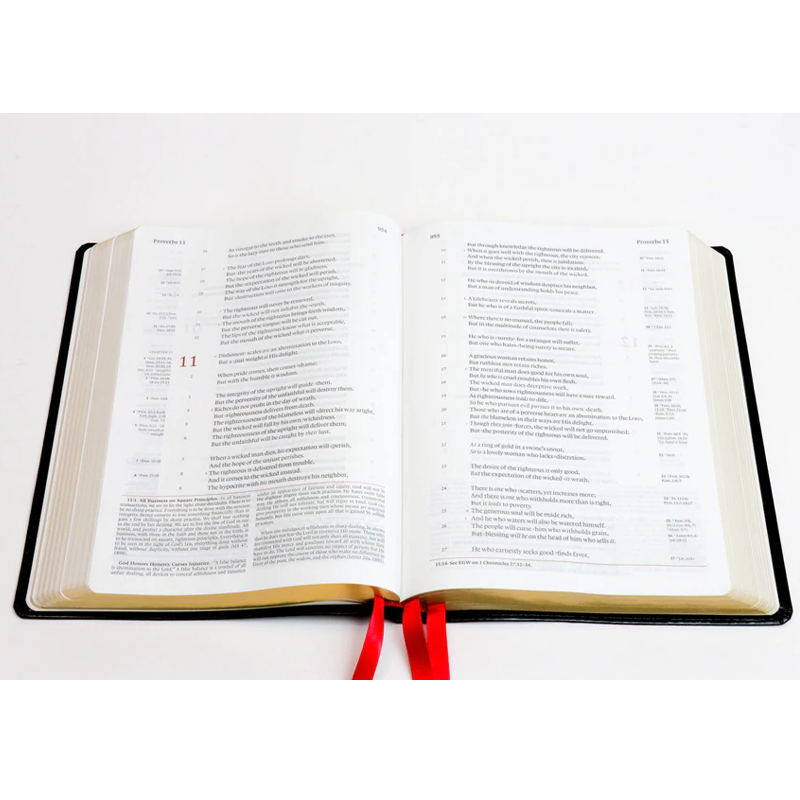 The NKJV Messenger EGW Study Bible - Sapphire Silver (Blue)