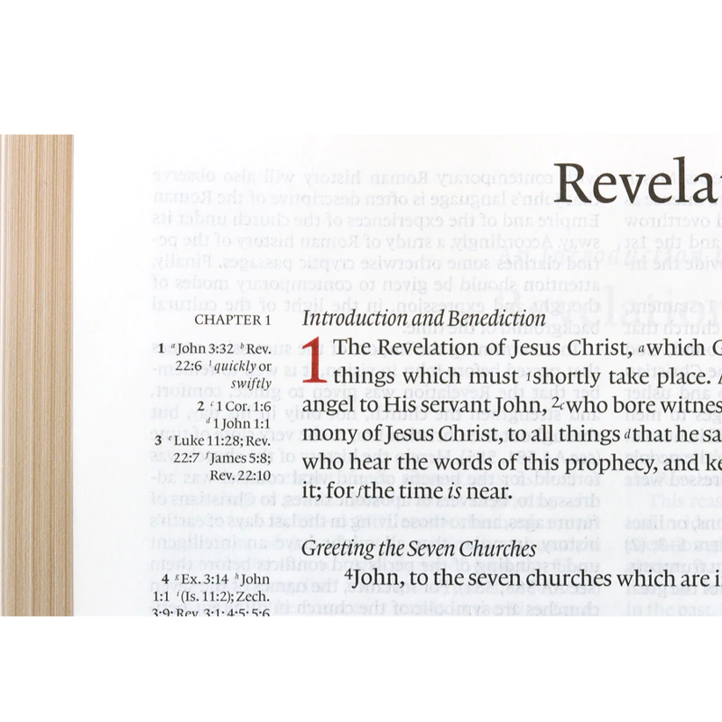 The NKJV Messenger EGW Study Bible - Sapphire Silver (Blue)