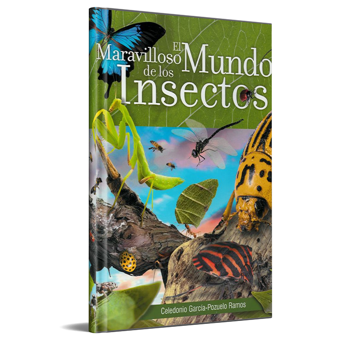 El Maravilloso Mundo de los Insectos (Español) by Safeliz