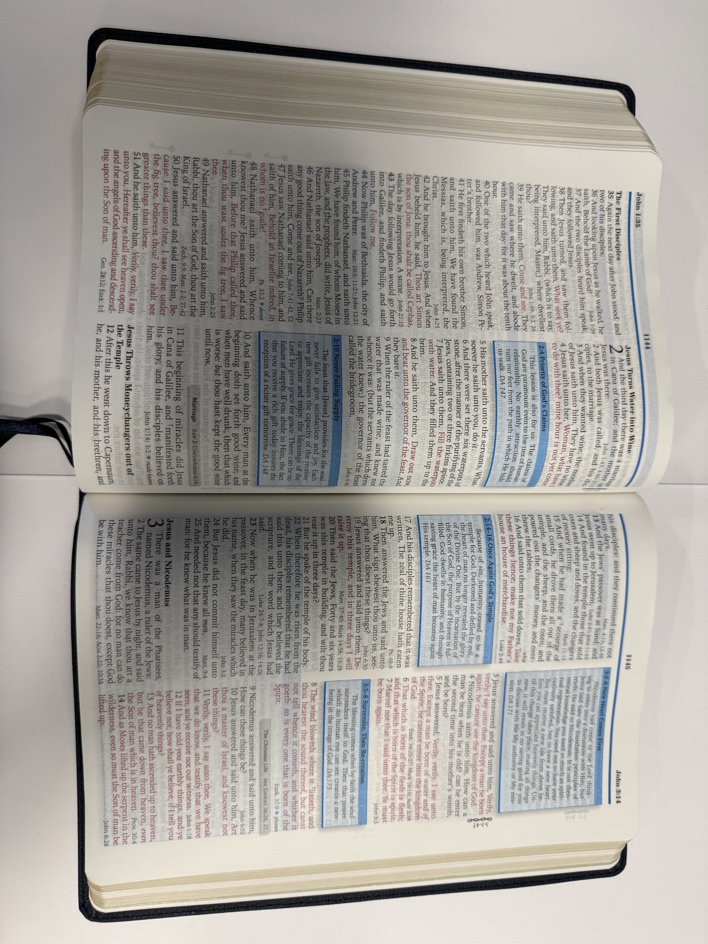 ONE-OF-A-KIND Large Print KJV Platinum Remnant Study Bible (Blue Leather)