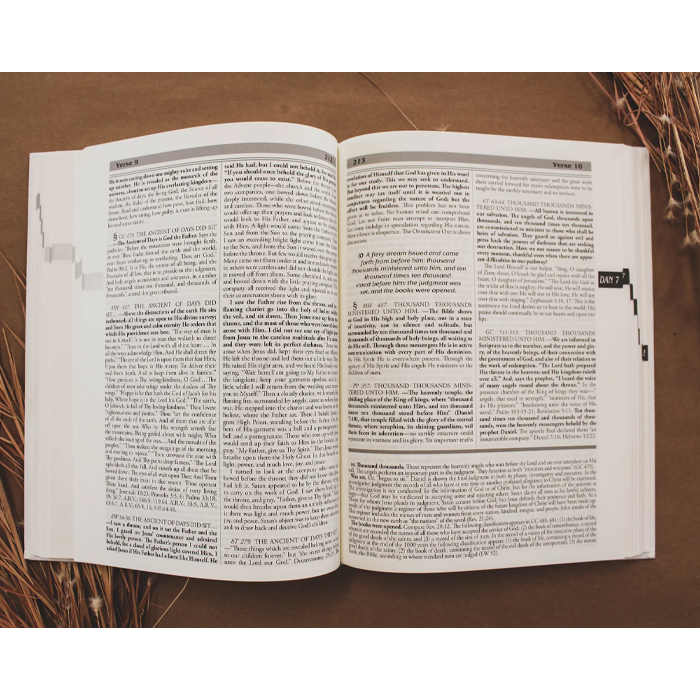An Exhaustive Ellen G. White Commentary Set on Daniel and Revelation by OA Publishing