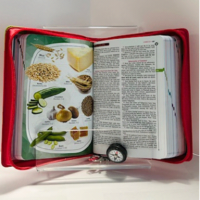 Pathfinder Holy Bible with zipper - Pink by Safeliz