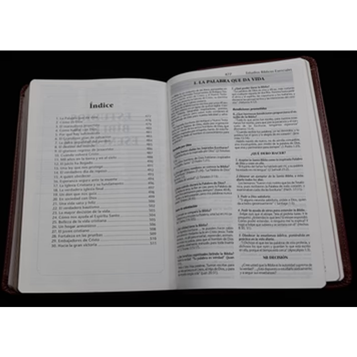 Santa Biblia Comentario Biblico de Elena G. de White (BLUE) by Oklahoma Academy Publications