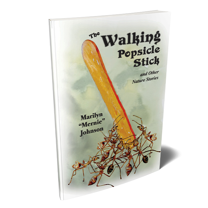 The Walking Popsicle Stick by Marilyn Johnson