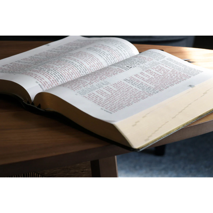 Academy Study Bible (Brown Leatherette) EGW Comm with Greek & Hebrew Dictionaries by OA Publishing