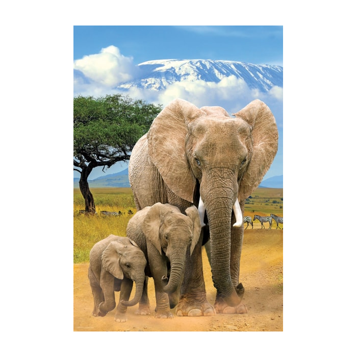 Elephants Puzzle  - 250 pieces