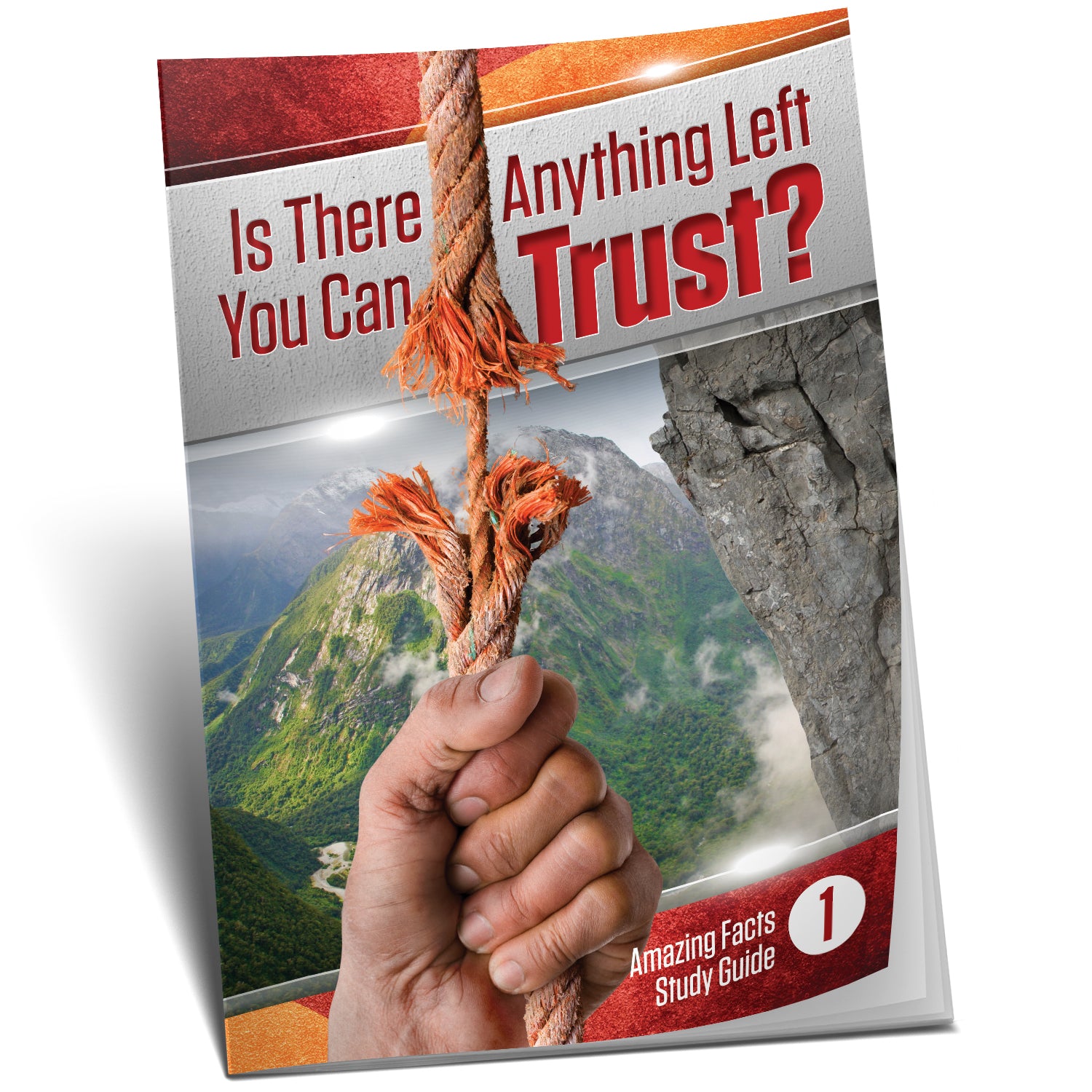 Is There Anything Left You Can Trust? by Bill May