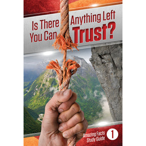 Is There Anything Left You Can Trust? by Bill May