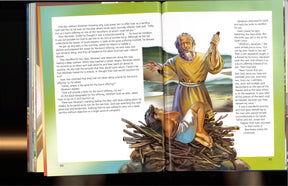 Amazing Bible Story Set - 6 Volumes by Amazing Facts