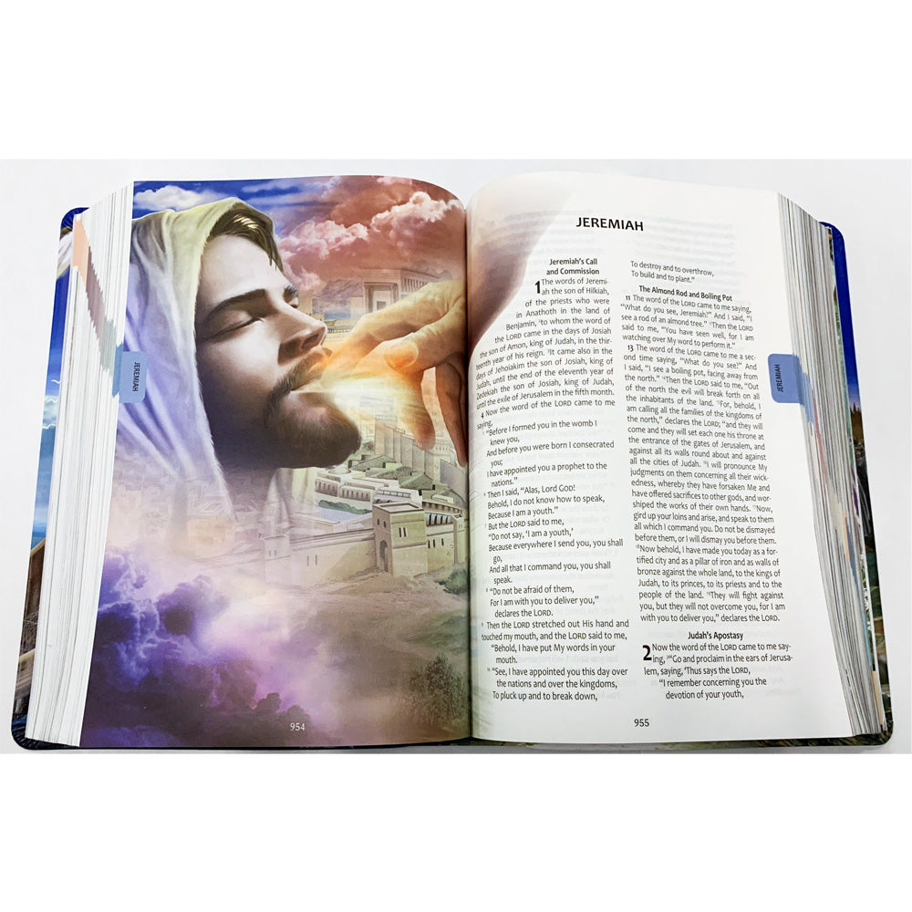 NASB Amazing Illustrated Bible (Softcover) by Editorial Safeliz