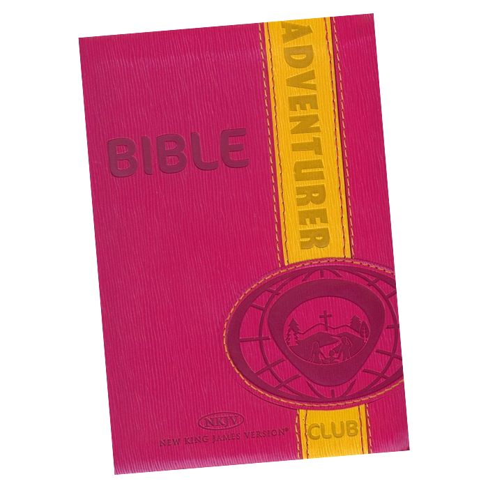 The Adventurer Club Bible: Pink and Yellow