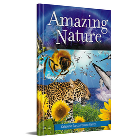 Amazing Nature by Safeliz