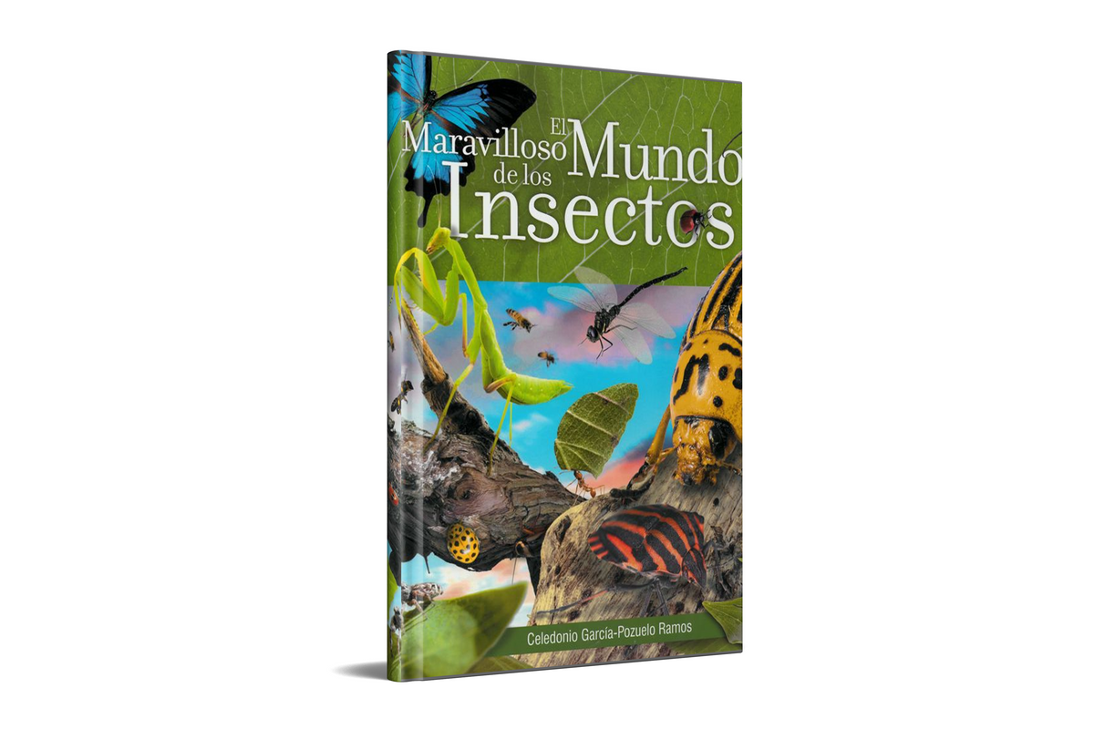 El Maravilloso Mundo de los Insectos (Español) by Safeliz