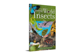 The Amazing World of Insects by Safeliz