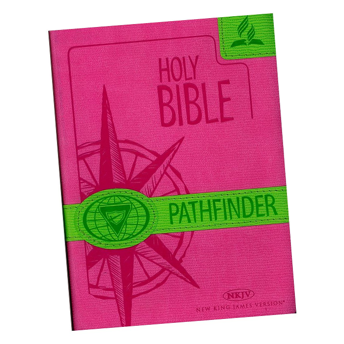 Holy Bible Pathfinder - Pink