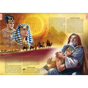 NASB Illustrated Bible (Hardcover) by Safeliz