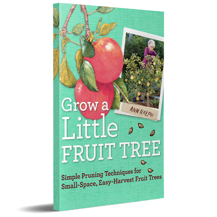 ONE-OF-A-KIND Grow a Little Fruit Tree: Simple Pruning Techniques by Ann Ralph