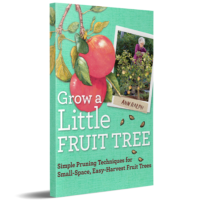 Grow a Little Fruit Tree: Simple Pruning Techniques for Small-Space, Easy-Harvest Fruit Trees by Ann Ralph