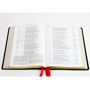 The NKJV Messenger EGW Study Bible - Sapphire Silver (Blue)