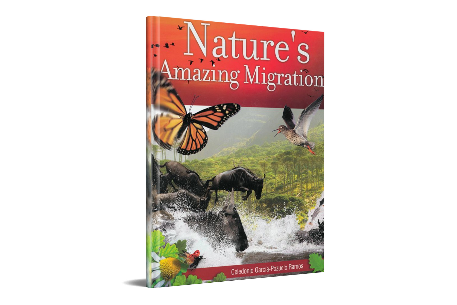 Natures Amazing Migrations by Safeliz