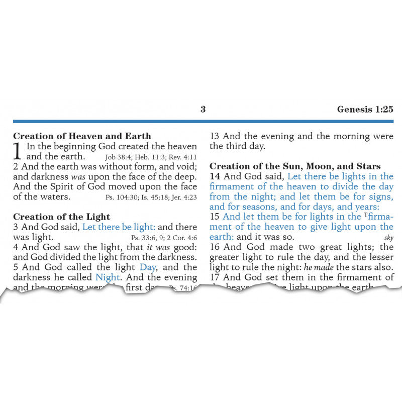 KJV Platinum Remnant Study Bible (Gray Leather)