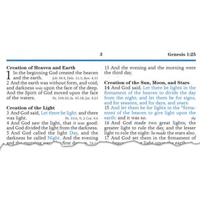 KJV Platinum Remnant Study Bible (Black Leather)