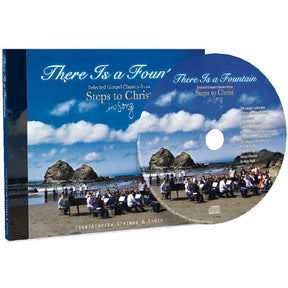Clearance There is a Fountain: Steps to Christ in Song by FountainView Academy