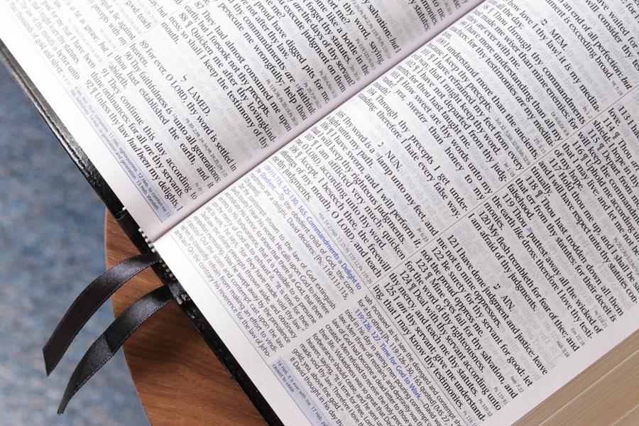 Chestnut - KJV Mission Study Bible With Ellen White Comments by Oklahoma Academy Publications