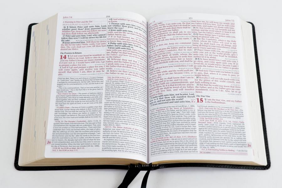 Chestnut - KJV Mission Study Bible With Ellen White Comments by Oklahoma Academy Publications