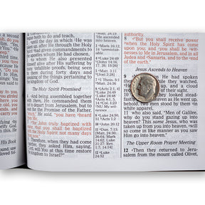 NKJV Prophecy Study Bible (Gray Genuine Leather) by Amazing Facts