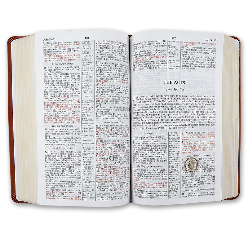 NKJV Prophecy Study Bible (Peachy Pink Leathersoft) by Amazing Facts